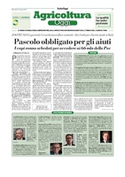 Italia Oggi - Poltrone in erba - 31 gennaio 2024